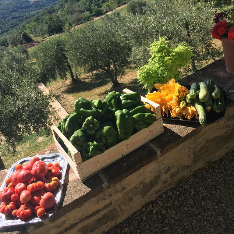 I Casali Del Trebbiolo Villa Molino del Piano Dış mekan fotoğraf